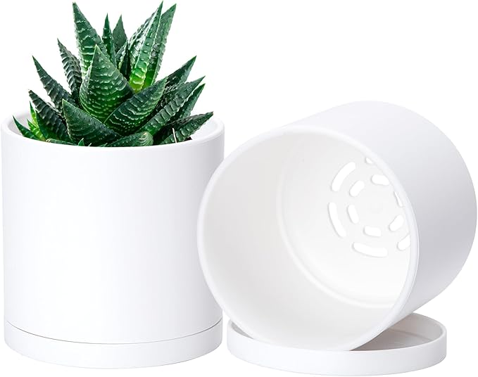D'vine Dev 2 Pack 4 Inch Modern Plastic Plant Pots, Small Garden Planters by DvineDevPlanterPotsandStand