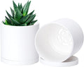 D'vine Dev 2 Pack 4 Inch Modern Plastic Plant Pots, Small Garden Planters by DvineDevPlanterPotsandStand