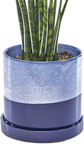 CHIVE ‘Minute’ Ceramic Planter Pot — Cute 5” Colorful Succulent Pots by Chive