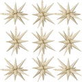 Cream White Star Balloons by Adorely