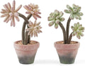 2-Pack Artificial Succulent Plants in Vintage Plastic Pots by Fuxdre