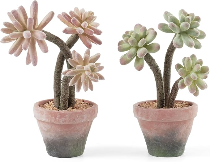 2-Pack Artificial Succulent Plants in Vintage Plastic Pots by Fuxdre