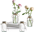 Vintage Glass Vases, Mason Jars by wangsdjy