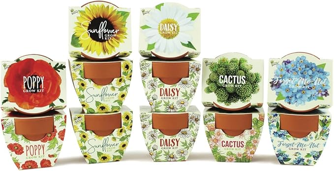 BUZZY Seeds Mini Terracotta Pots 12-Pack by BUZZY