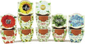 BUZZY Seeds Mini Terracotta Pots 12-Pack by BUZZY