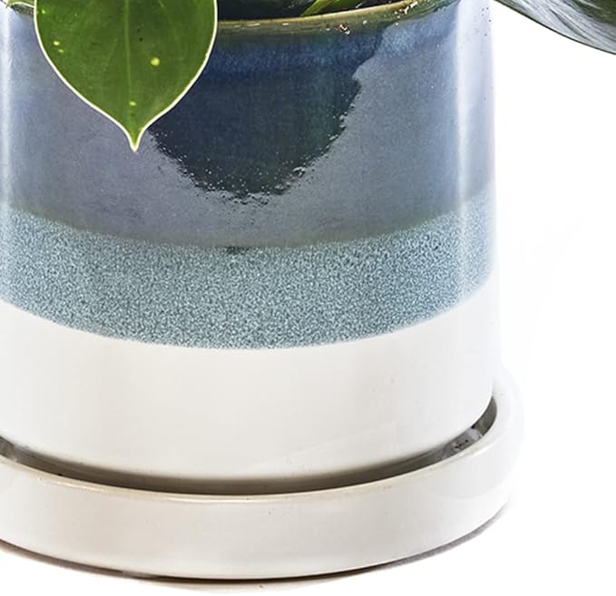 CHIVE ‘Minute’ Ceramic Succulent Planters — 5” Indoor Cactus & Flower Container - Image 2