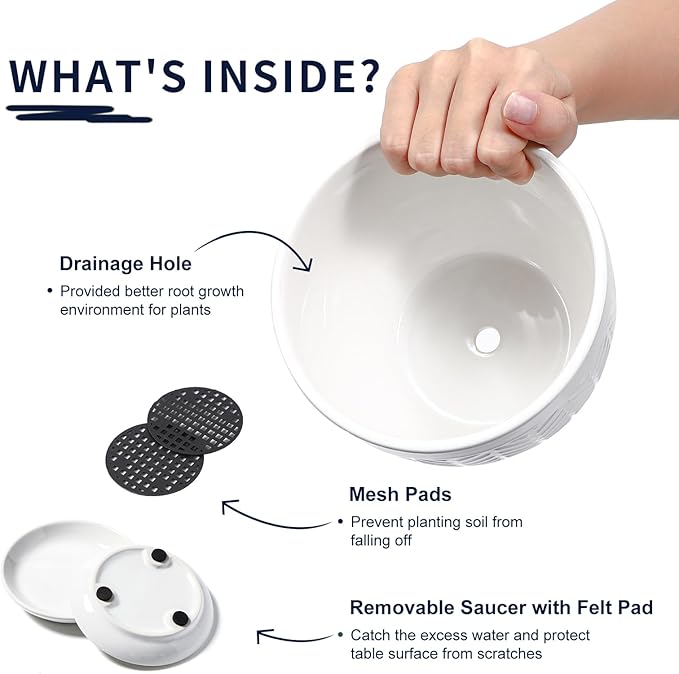 Sureasy Ceramic Indoor Plant Pots - Image 4