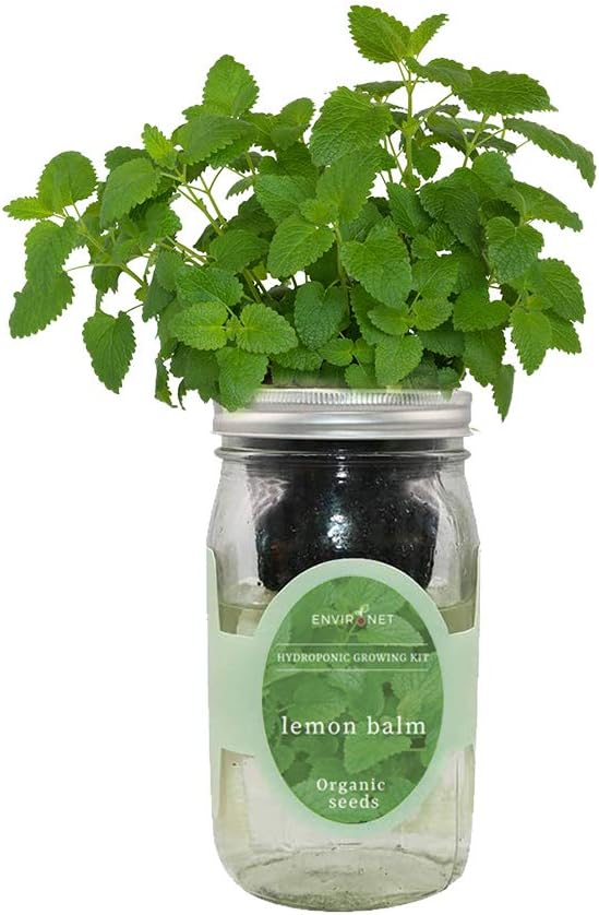 Hydroponic Herb Growing Kit, Self-Watering Mason Jar Herb Garden Starter Kit by Environet