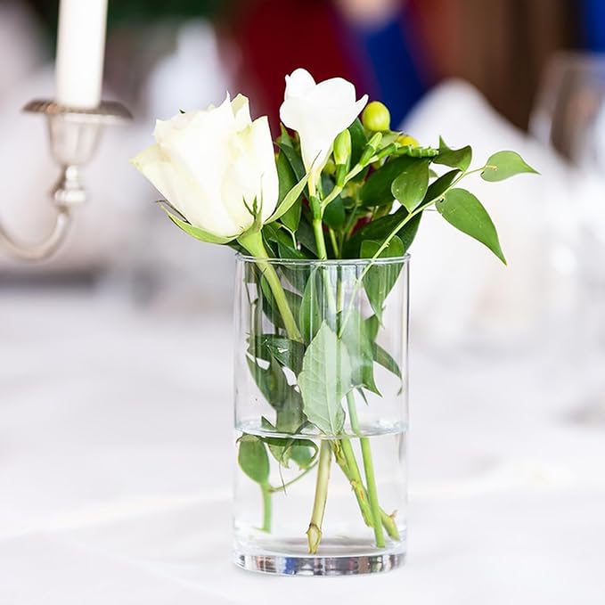Frcctre 8 Pack 6 Inch Glass Cylinder Vases - Image 6