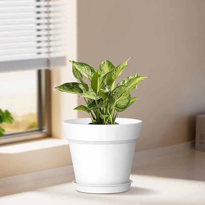 5 Inch Plastic Plant Pots with Drainage Holes and Trays – 6 Pack Small Nursery - Image 2