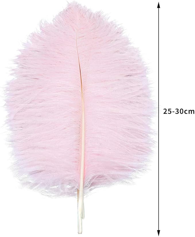 24pcs Natural Light Pink Ostrich Feathers 10-12inch - Image 3
