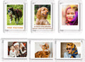 4x6 Acrylic Magnetic Picture Frames Refrigerator, 6 Pack by LIANHELILAI