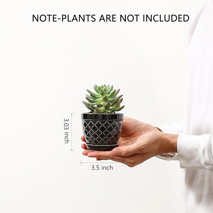 Sureasy Succulent Pots, 3.5 Inch Flower Pots - Image 2