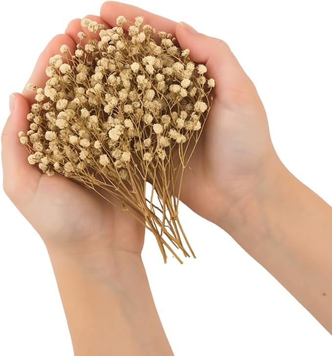 Dried Flower Baby's Breath Biodegradable Confetti by JAPJA
