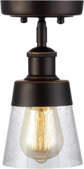 Rustic Glass Flush Mount Light Fixture Mini Clear Seeded Glass Shade Semi Flush by Unknown