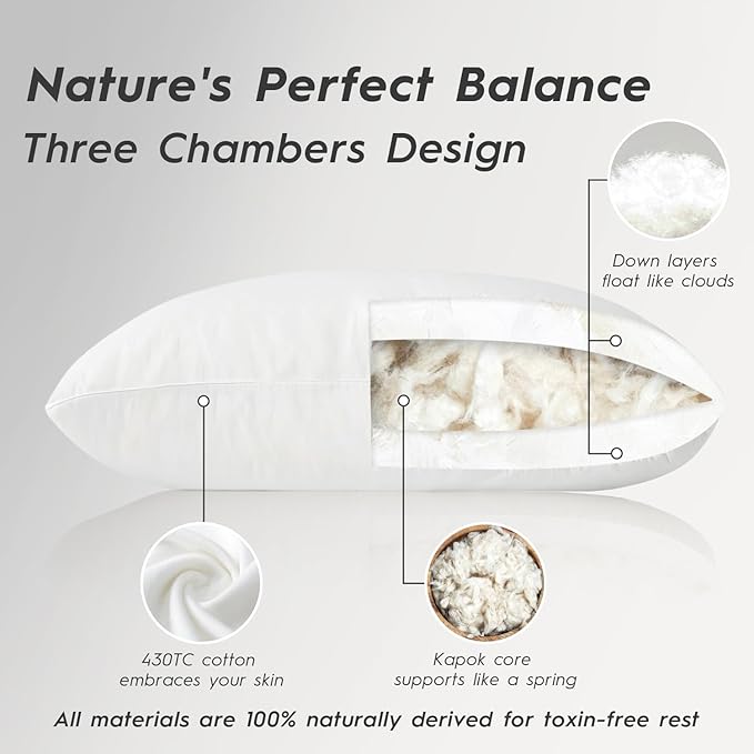 Globon Luxury Down Pillows Queen Size Set of 2 - Image 3
