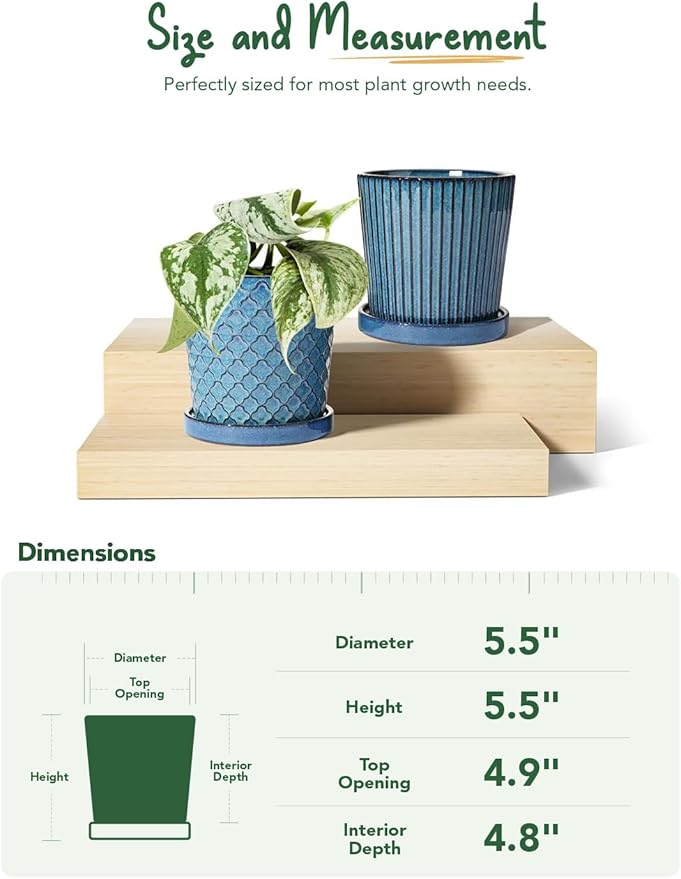 LE TAUCI Ceramic Pots for Plants, 5.5 Inch Plant Pots - Image 5