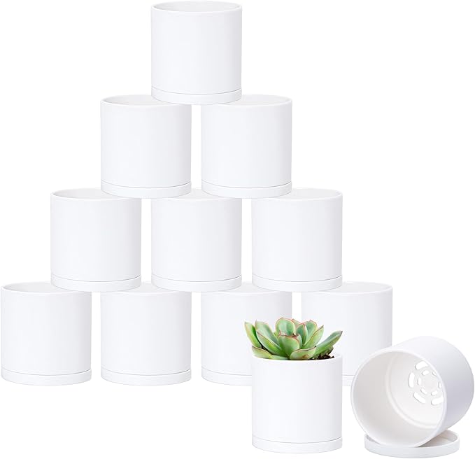 D'vine Dev 12 Pack 3 Inch Mini Plastic Plant Pots, Small Garden Planters by DvineDevPlanterPotsandStand