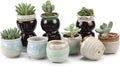 T4U Small Ceramic Succulent Pots by T4U