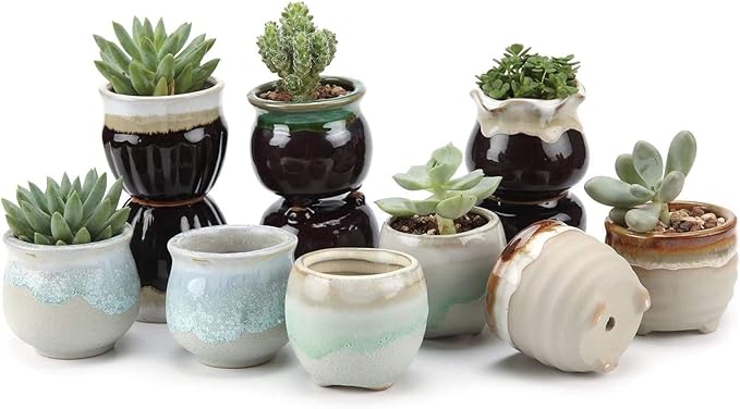 T4U Small Ceramic Succulent Pots by T4U