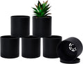 D'vine Dev 6 Pack 4 Inch Modern Plastic Plant Pots, Small Garden Planters by DvineDevPlanterPotsandStand