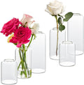 Glass Bud Vases Set of 6, Glass Cylinder Vases by GNILLKO
