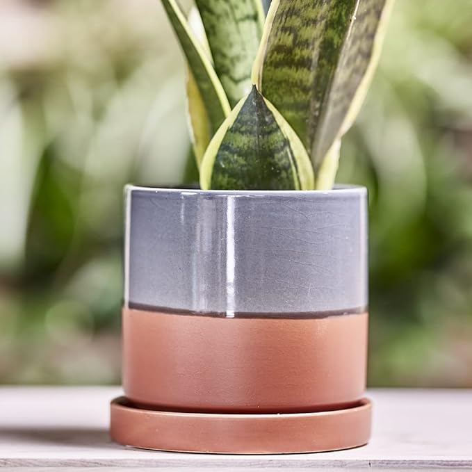 CHIVE ‘Minute’ Ceramic Planter Pot — Cute 5” Colorful Succulent Pots - Image 4