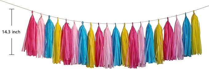 ZOOYOO Tassel Garland Tissue Paper Tassel Banner, Table Decor, DIY Kits - Image 2