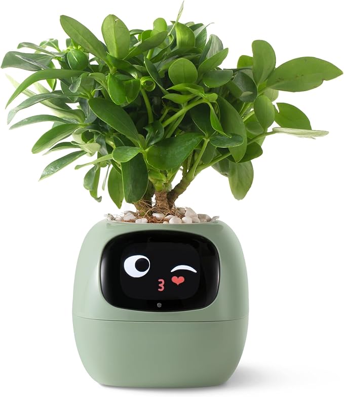 Smart pet Planter Robot Guidance on Plant Care by PlantsIO