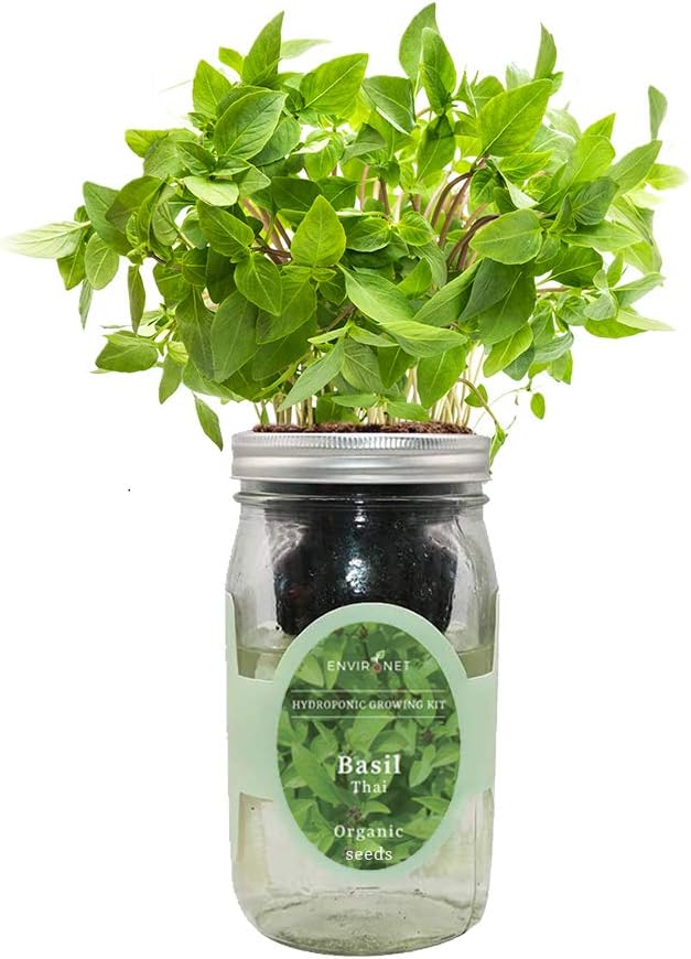 Hydroponic Herb Growing Kit, Self-Watering Mason Jar Herb Garden Starter Kit by Environet