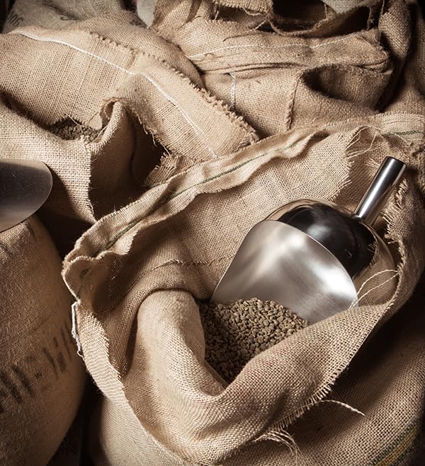 Coffee Bean Direct Unroasted Sulawesi Kalossi, 5 Pound - Image 4