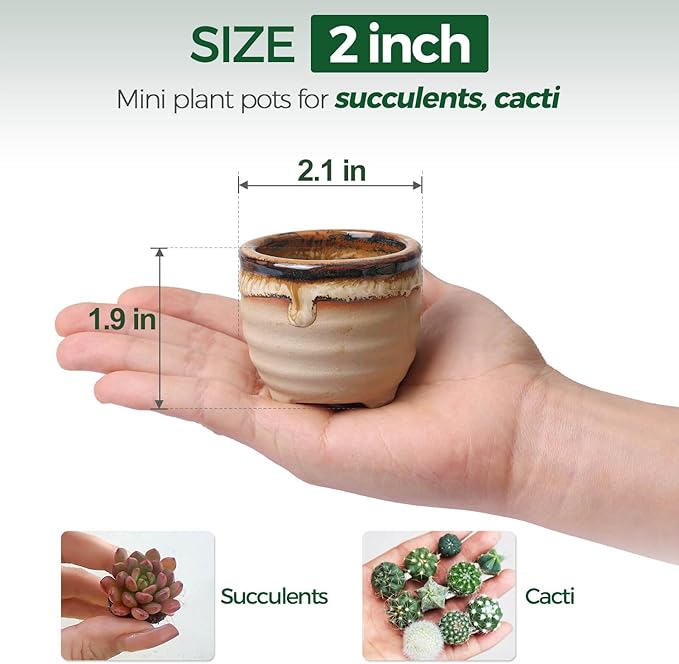 T4U Mini Ceramic Succulent Pots - Image 3