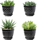 Sureasy Succulent Pots, 3.5 Inch Flower Pots by Sureasy