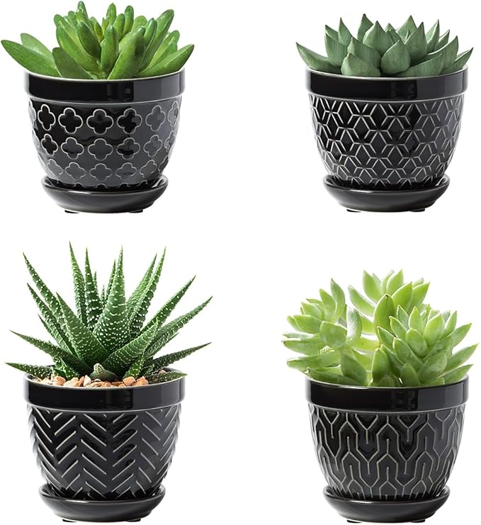 Sureasy Succulent Pots, 3.5 Inch Flower Pots by Sureasy
