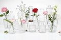 16 Pack Glass Bud Vases for Centerpieces by Colovie