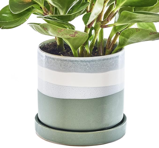CHIVE ‘Minute’ Ceramic Planter Pot — Cute 5” Colorful Succulent Pots by Chive