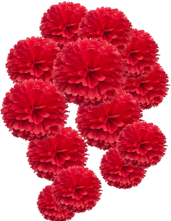 MOWO Red Paper Flower Tissue Pom Poms Party Supplies by MOWO