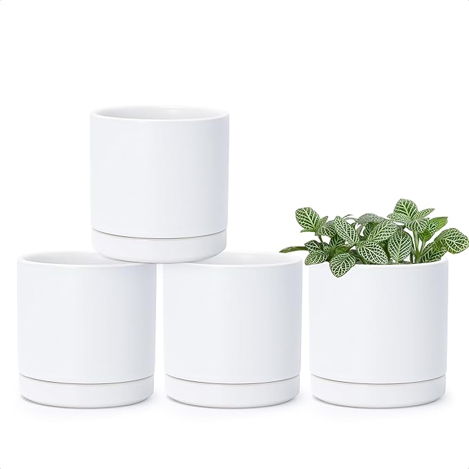 D'vine Dev Set of 4 Small Ceramic Plant Pots, 3.5 Inch Succulent Planter Pot by DvineDevPlanterPotsandStand