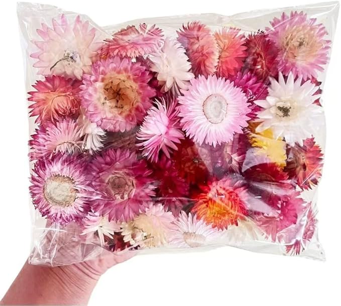 Dried Flower Pink Straw Daisy Biodegradable Confetti - Image 9