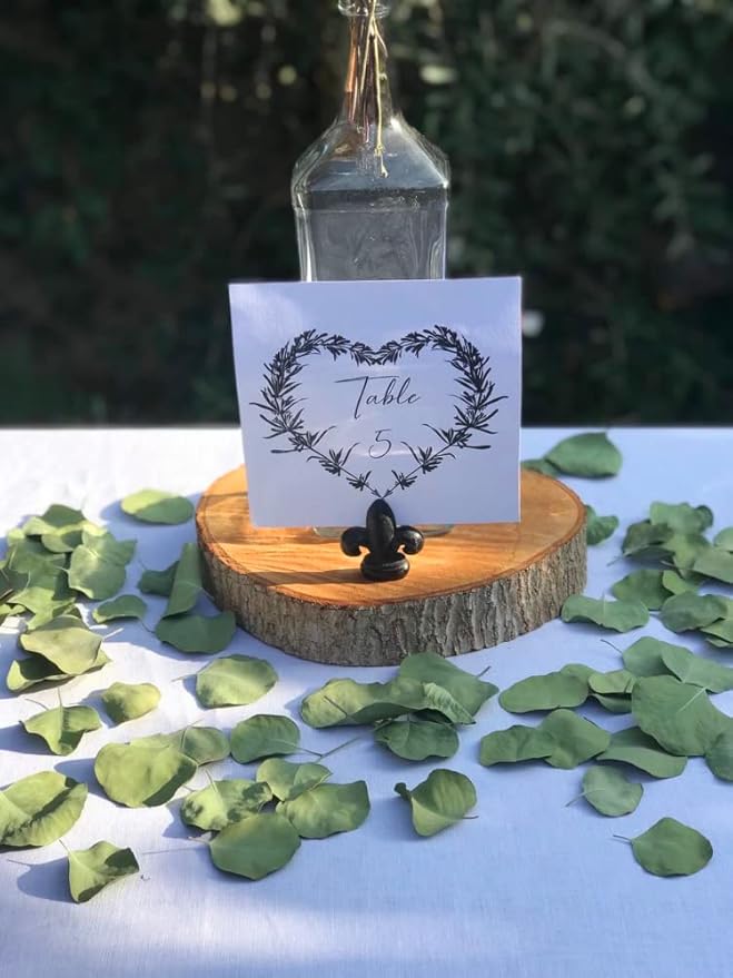 300+ Pcs Dried Real Eucalyptus Leaves, Rustic Boho Wedding Table Decor - Image 7
