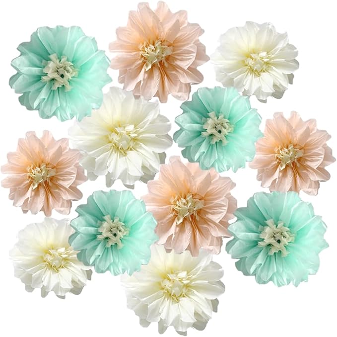 12pcs 10in/12in Tissue Flowers Pom Kit by Yangeey
