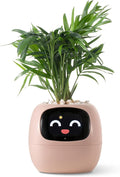 Smart pet Planter Robot Guidance on Plant Care by PlantsIO