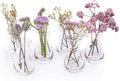 CHIVE ‘George’ Glass Bottle Flower Vases — Set of 6 — Small, Elegant Clear by Chive
