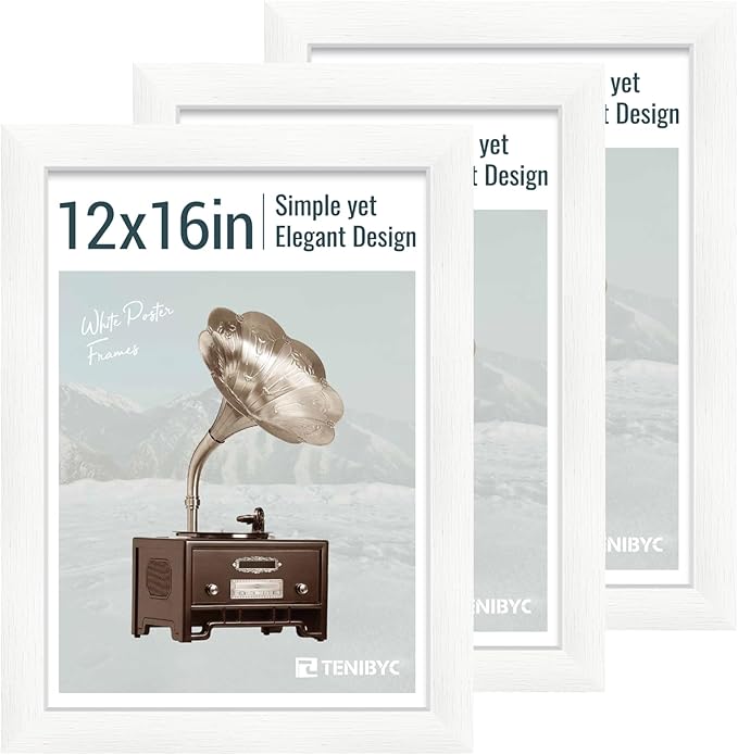 12x16 Picture Frame 3 pk by TENiBYC