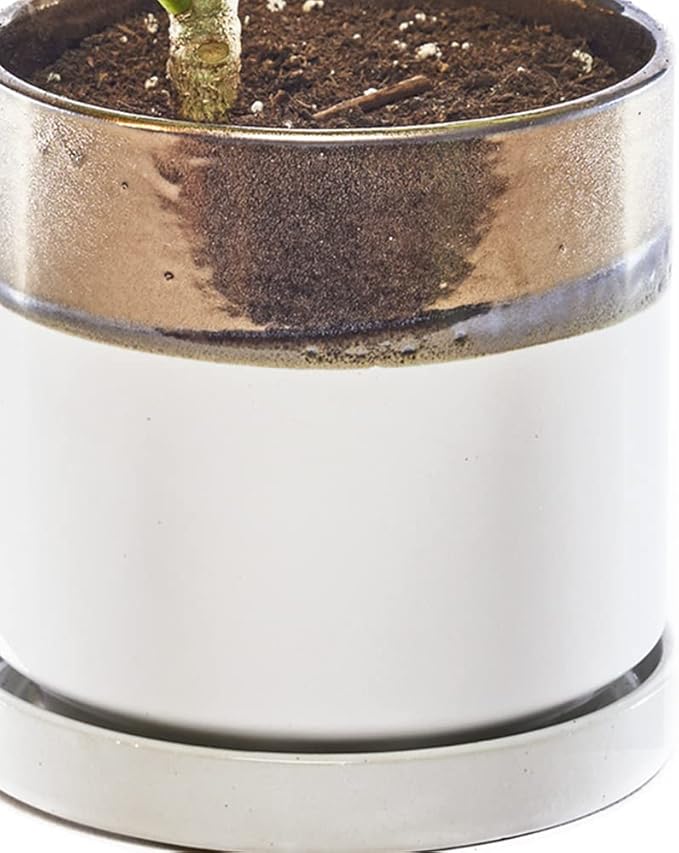 CHIVE ‘Minute’ Ceramic Planter Pot — Cute 5” Colorful Succulent Pots - Image 2