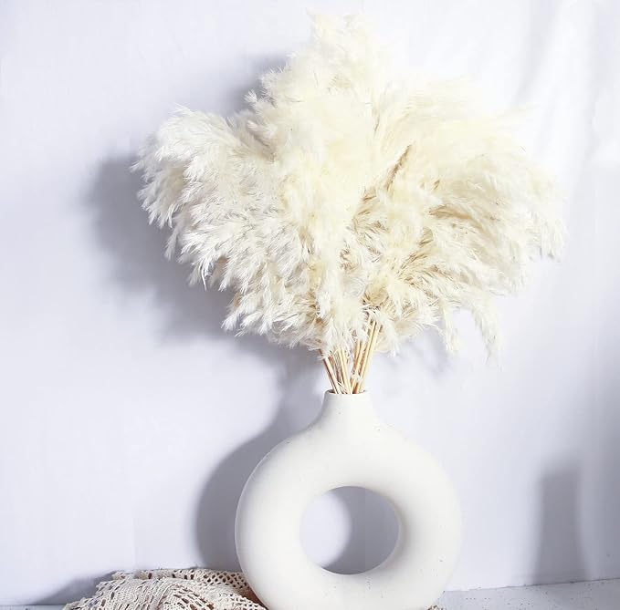 White Pampas Grass for Home Decor by Unknown