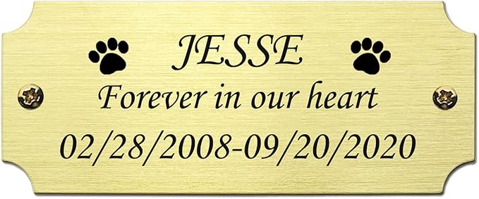Size: 2.5" W x 1" H, Personalized, Custom Engraved, Brushed Gold Solid Brass by NEMOCI