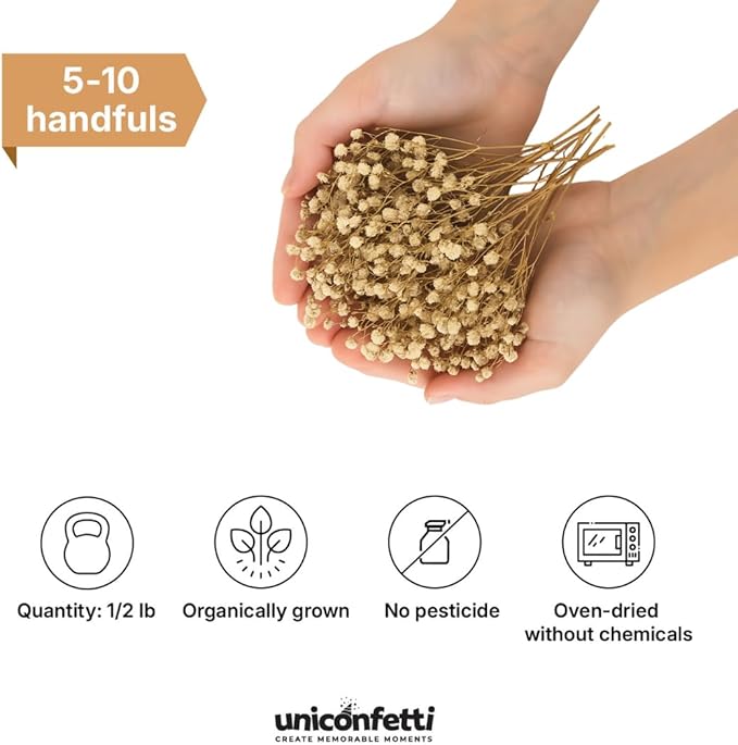 Dried Flower Baby's Breath Biodegradable Confetti - Image 2