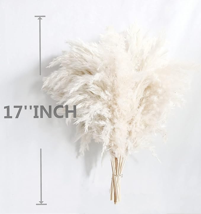 White Pampas Grass for Home Decor - Image 4
