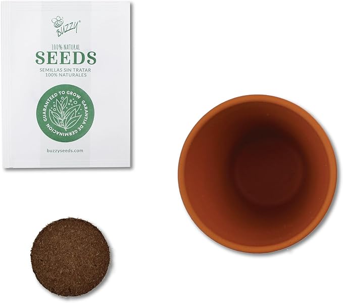 BUZZY Seeds Terracotta Mini Grow Pots Flower Plant Starter Kit – Love - Image 3